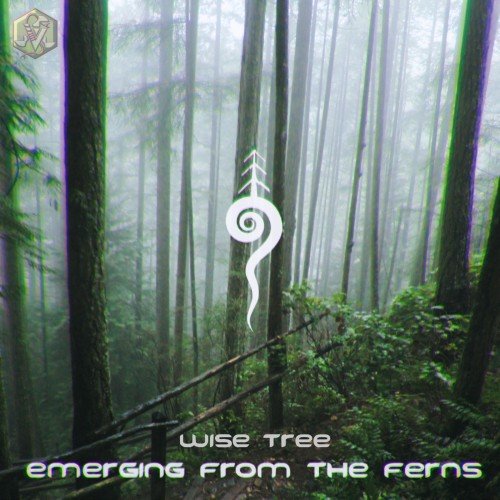 Emerging from the Ferns