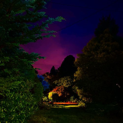 We Fell in Love in Place Where Meadows Are Scarce - Single