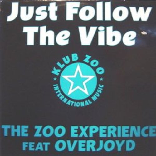 Just Follow The Vibe