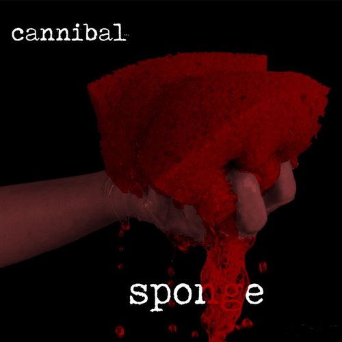 Sponge