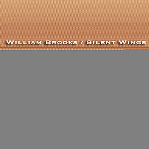 Silent Wings