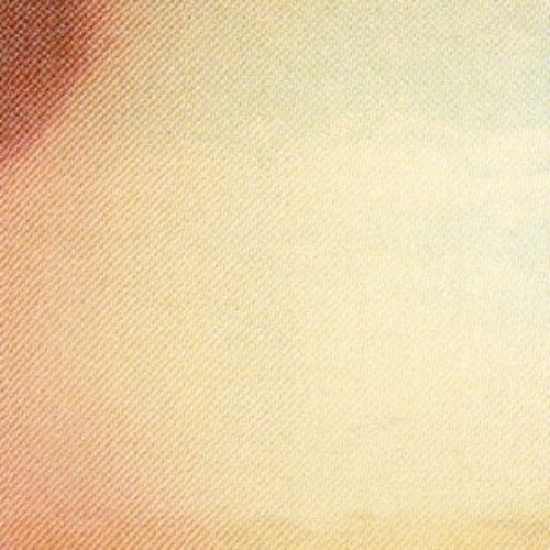 Evan Miller / Taiga Remains