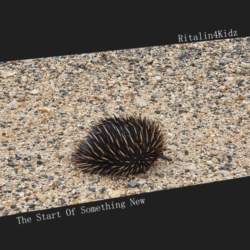 The Start Of Something New