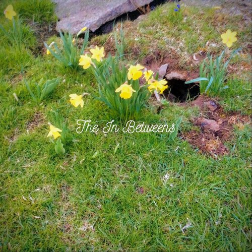 The Bloom