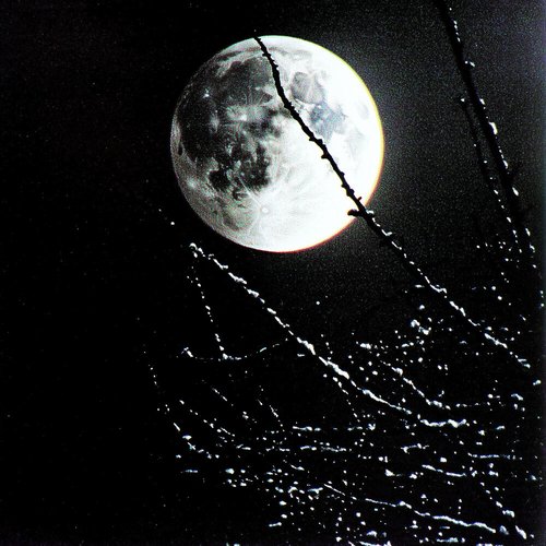 night moon