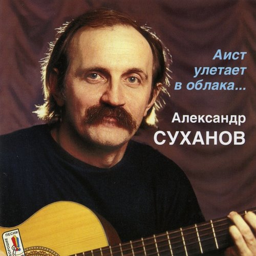 Аист улетает в облака