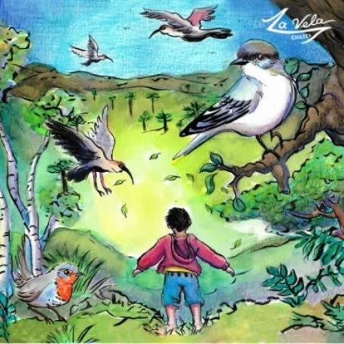 Pericona de las aves