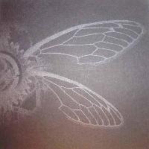 Archaeopteryx