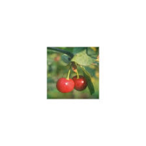 Cherries on Top