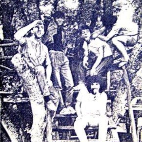 Старият дъб