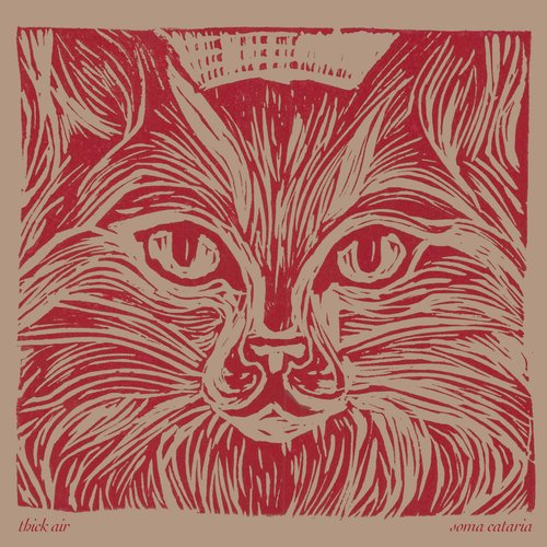 Soma Cataria