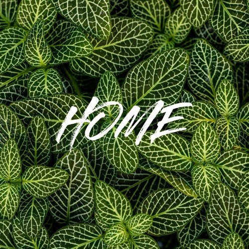 Home