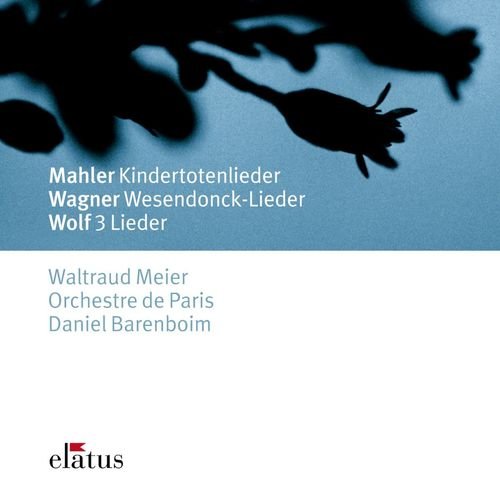 Mahler, Wagner & Wolf : Orchestral Songs