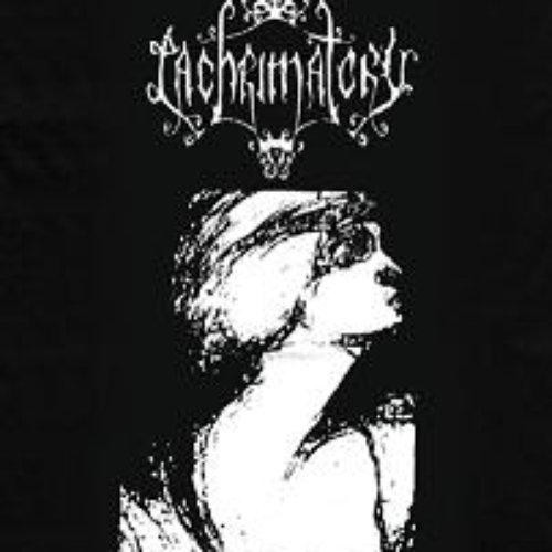 Sanity To Decrease