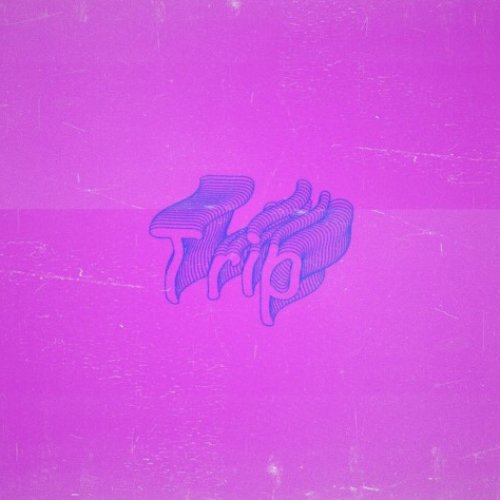 Trip