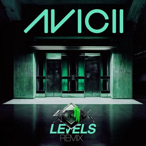 Levels (Skrillex Remix)