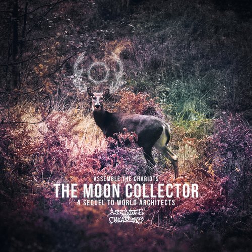 The Moon Collector - Single