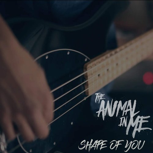 Shape Of You - Single
