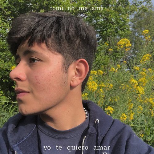 yo te quiero amar - Single