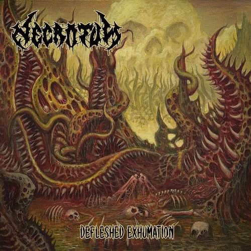 Defleshed Exhumation