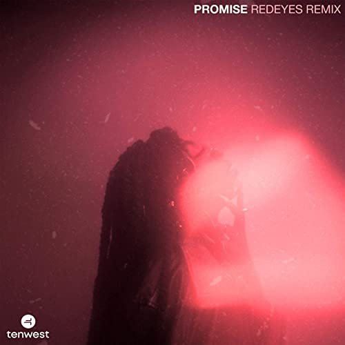PROMISE (Redeyes Remix)
