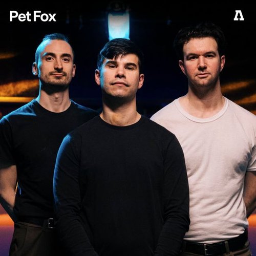 Pet Fox on Audiotree Live - EP