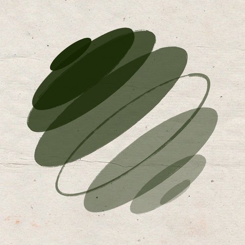Fly