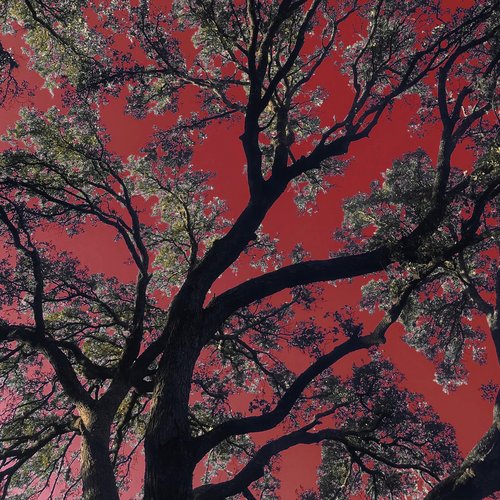 Bloodshot - Single