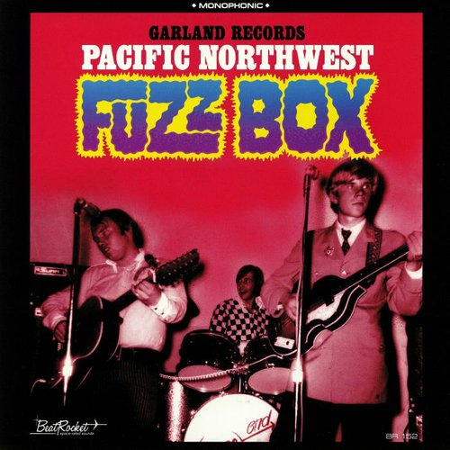 Garland Records: Pacific Northwest Fuzz Box