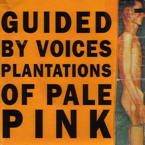Plantations Of Pale Pink - EP