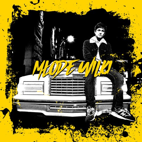Młode Wilki