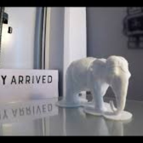 White Elephant