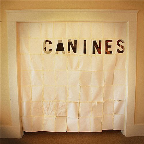 Canines