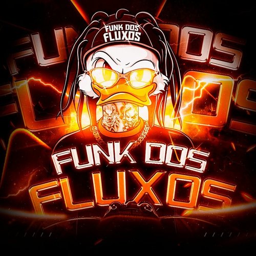 FUNK DOS FLUXOS