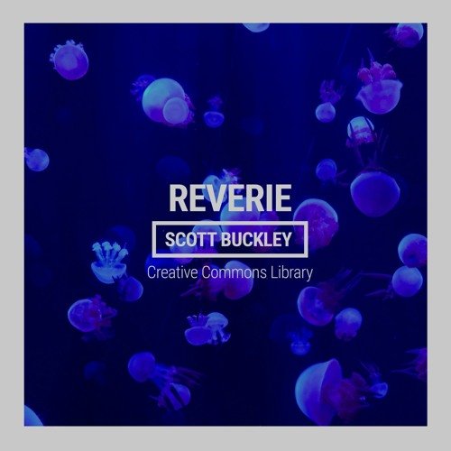Reverie
