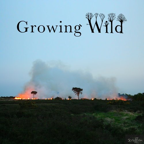Growing Wild