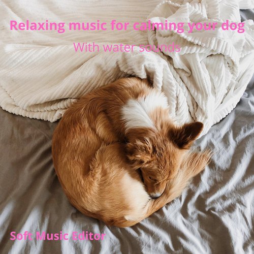 Relaxing Music For Calming Your Dog (With Water Sounds) - EP