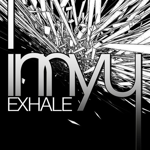 Innyu 2011 Promo