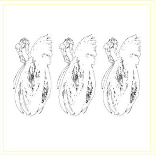 Shed Skin