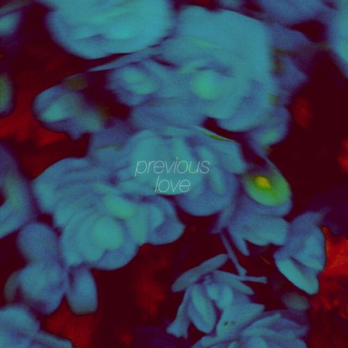 Previous Love
