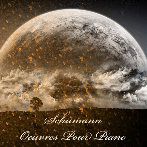 Schumann: Oeuvres pour piano