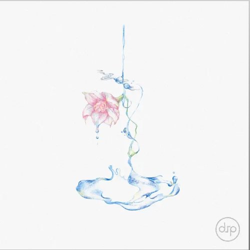 宿雨低花