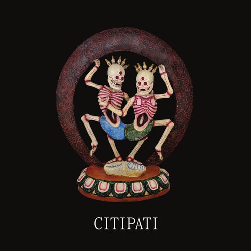 Citipati