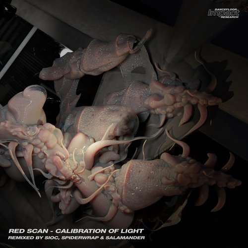 Calibration of Light