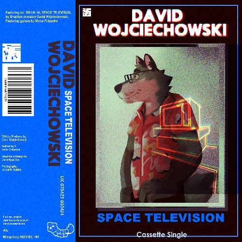 SPACE TELEVISION