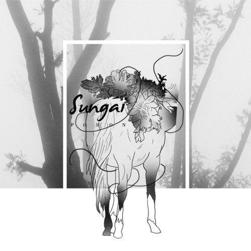Pohon