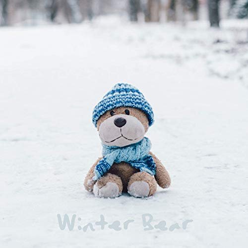 Winter Bear - Single
