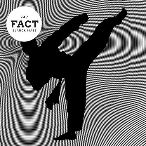 FACT Mix 747