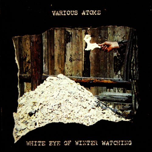 White Eye of Winter Watching Dtape