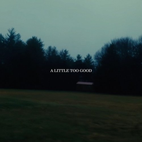 A Little Too Good - Single